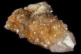 Sunshine Cactus Quartz Crystal - South Africa #115149-1